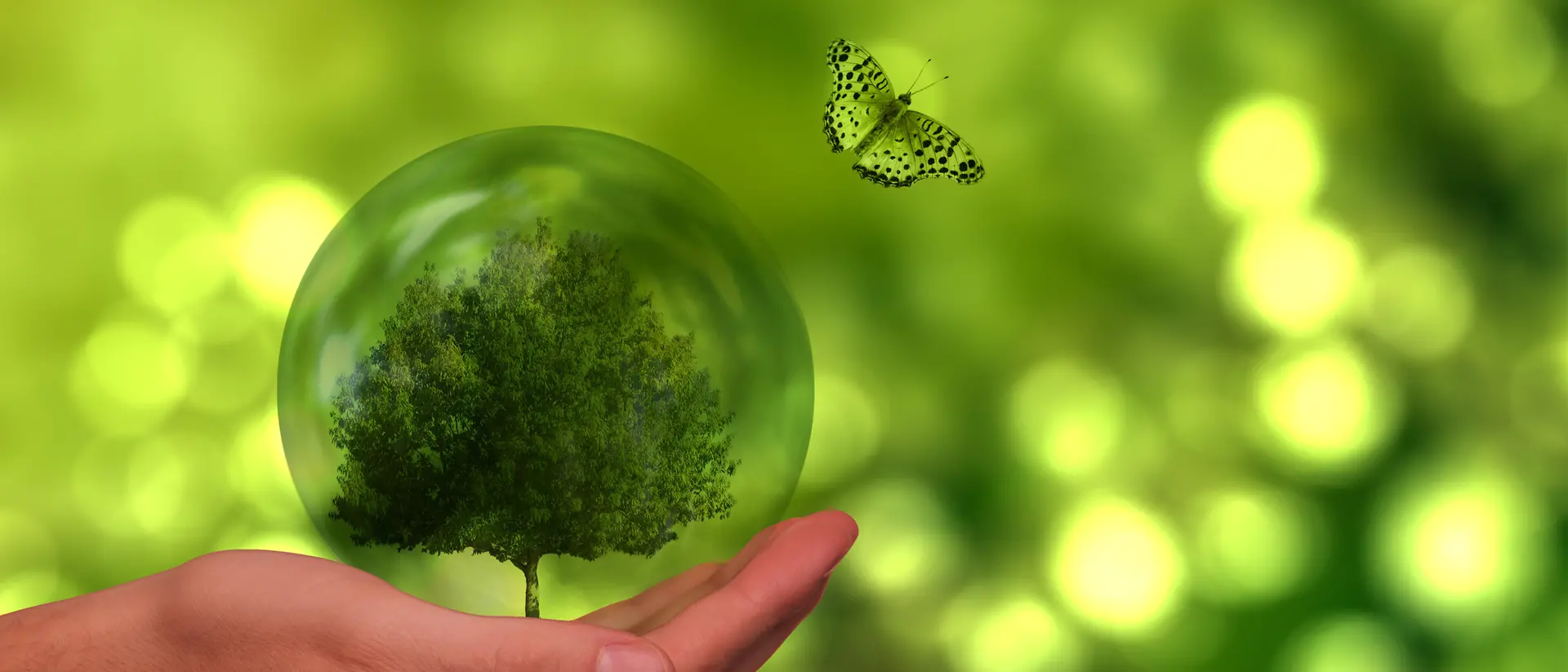 World Earth Day: l’impegno di Henkel per andare oltre la neutralità carbonica