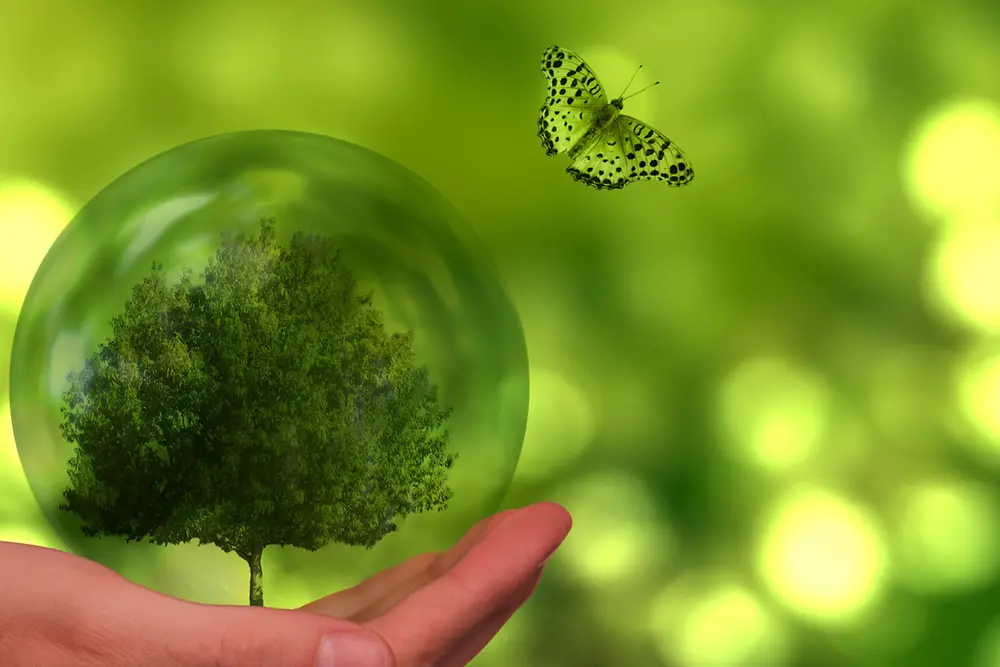 World Earth Day: l’impegno di Henkel per andare oltre la neutralità carbonica