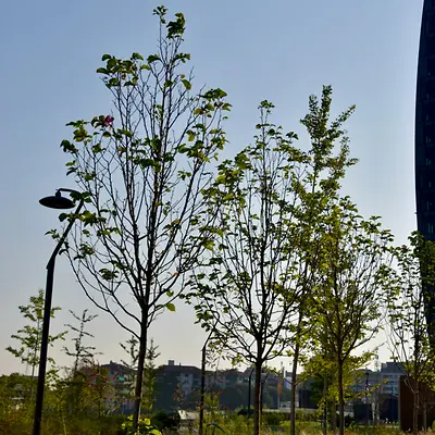 parco urbano a Milano