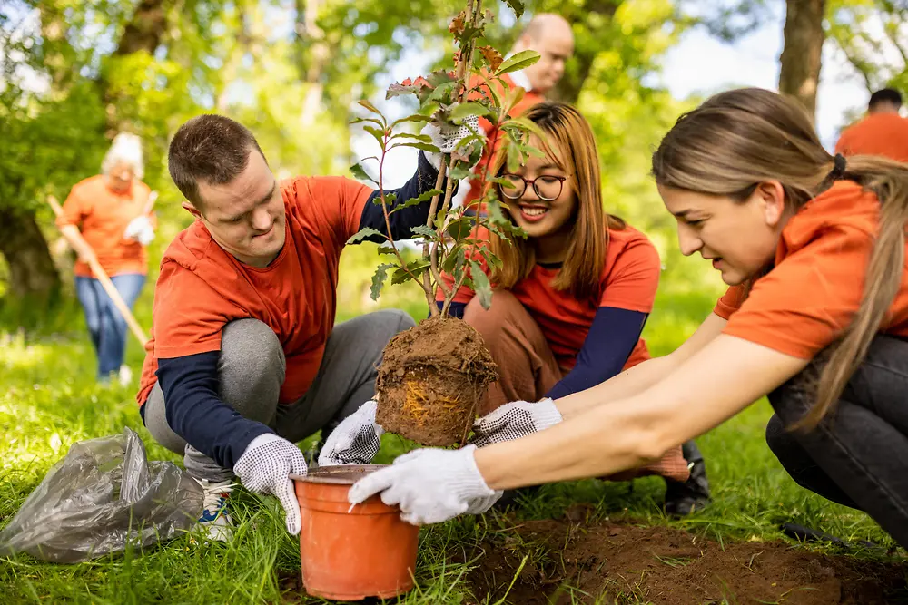 Più persone collaborano all’aperto per piantare un giovane albero in un’area verde e soleggiata di un parco. Un’iniziativa che valorizza l’impegno condiviso per la tutela dell’ambiente e la sostenibilità.