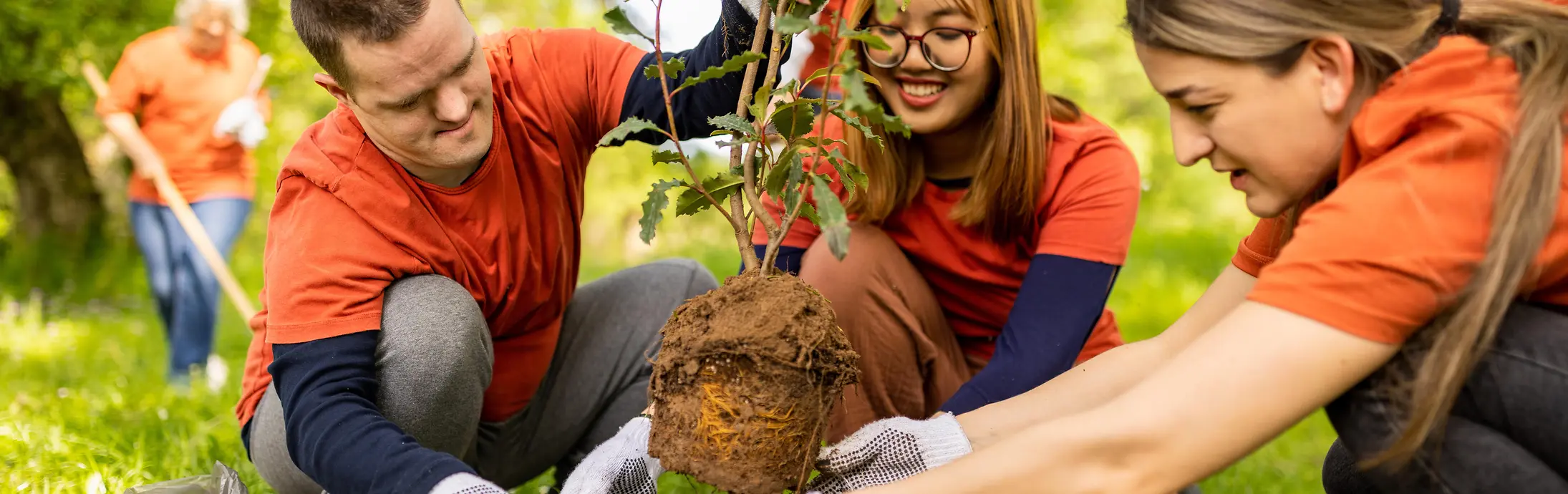 Più persone collaborano all’aperto per piantare un giovane albero in un’area verde e soleggiata di un parco. Un’iniziativa che valorizza l’impegno condiviso per la tutela dell’ambiente e la sostenibilità.