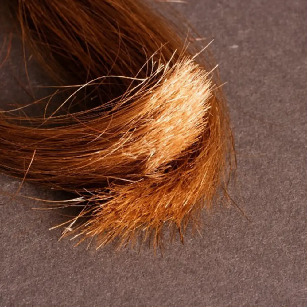 
Un problema con i capelli più lunghi: le doppie punte