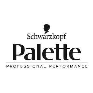 palette-logo-transparent