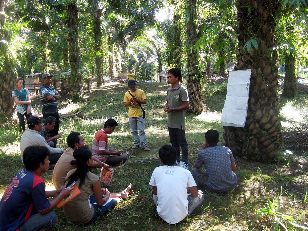 2016-08-18-smallholder-project-indonesia-training-west-kalimantan.jpg