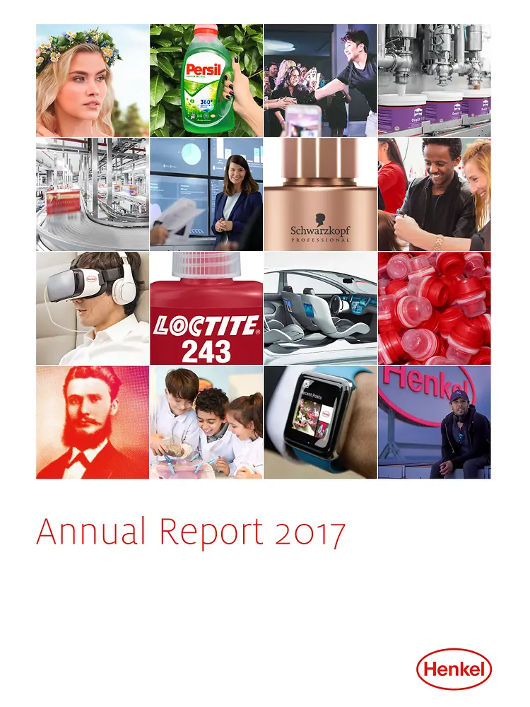 Rapporto Annuale 2017 (Cover)
