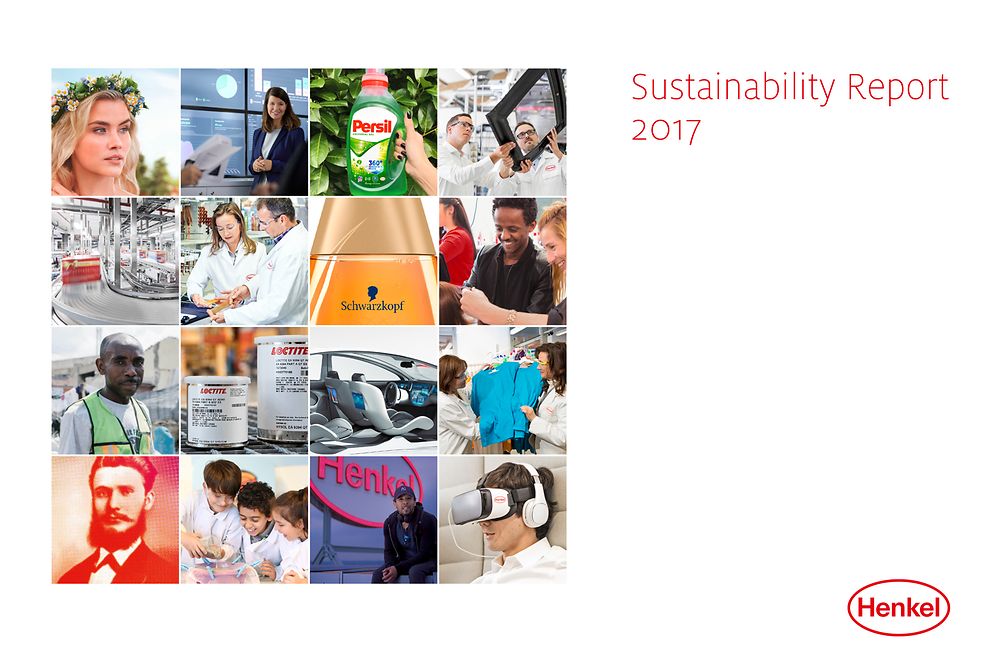 Rapporto sullo Sviluppo Sostenible 2017 (Cover)