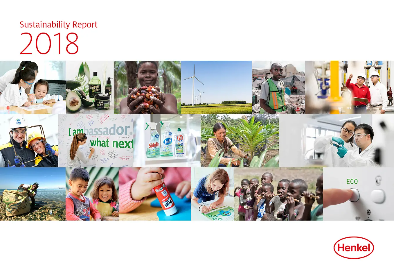 Rapporto sullo Sviluppo Sostenible 2018 (Cover)